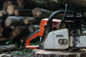 Tree Removal Tooele Utah