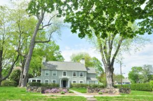 Tree Removal Santaquin Utah