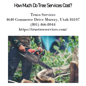 How Much Do Tree Services Cost?