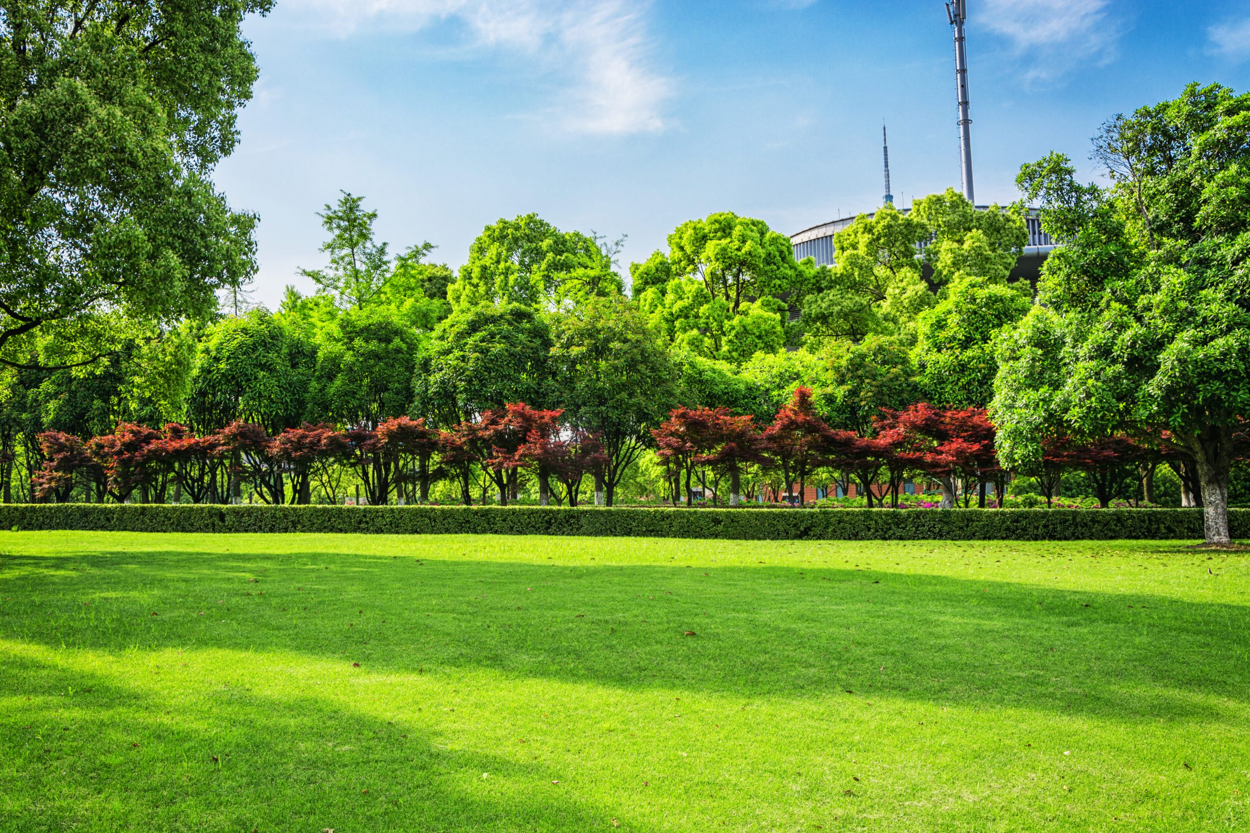 TOP 10 TIPS FOR MAINTAINING HEALTHY TREES ON YOUR PROPERTY – Truco Services