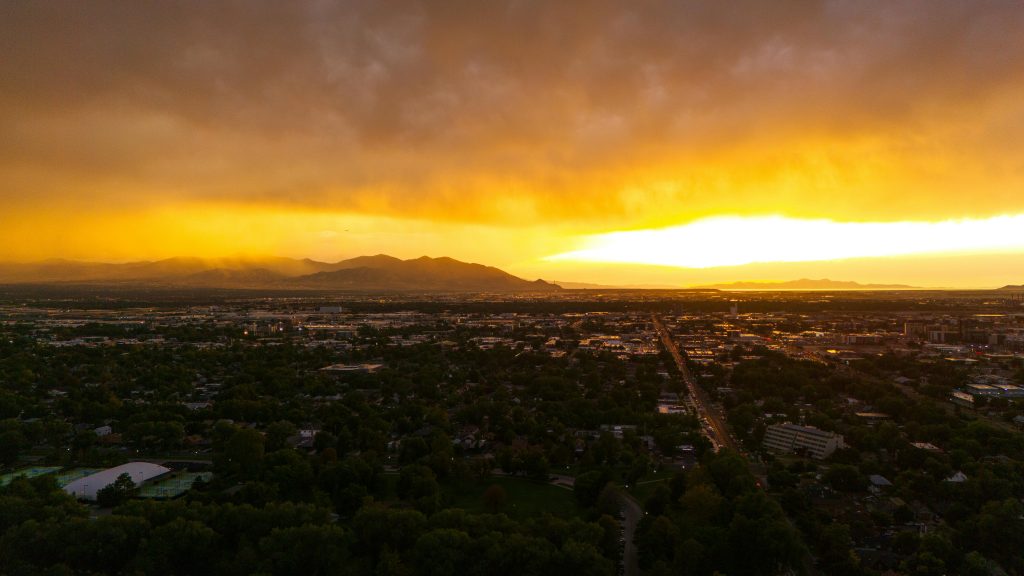 2026 Essential Guide: Tree Removal In Salt Lake City Utah - Top Tips  Tricks