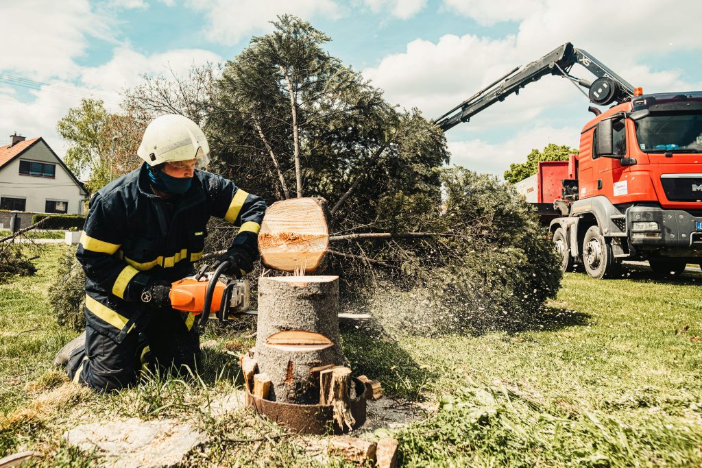 The Complete Guide to Tree Cutting Service: Expert Insights for 2026