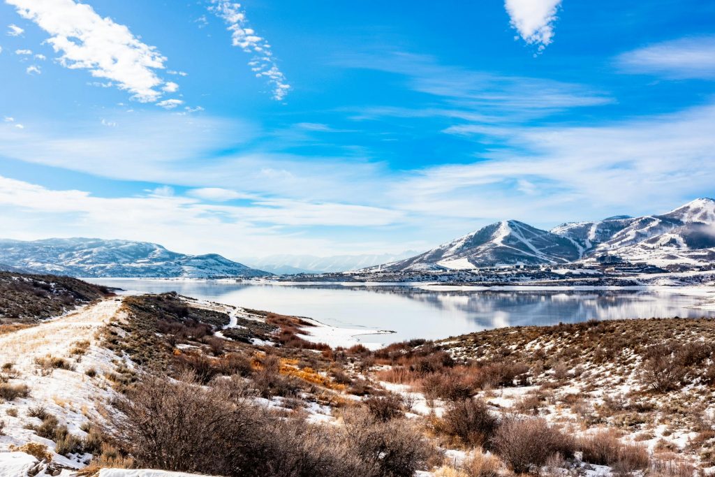 The Ultimate Guide to Salt Lake City Utah Tree Removal: Top Essential Tips for 2026