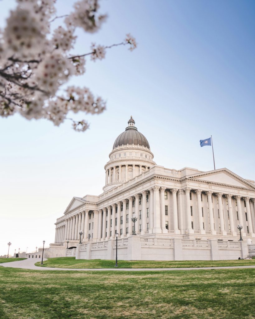 The Ultimate Guide to Salt Lake City Utah Tree Removal: Top Essential Tips for 2026