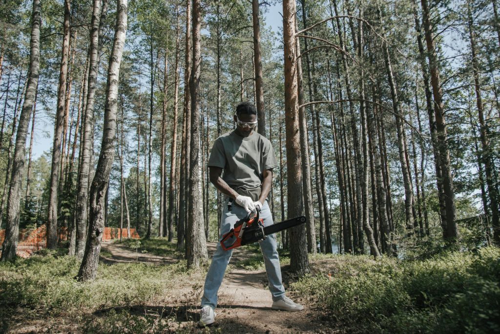 The Ultimate Guide to Tree Removal Near Me: Expert Advice and Essential Steps for Safe Removal (2026)