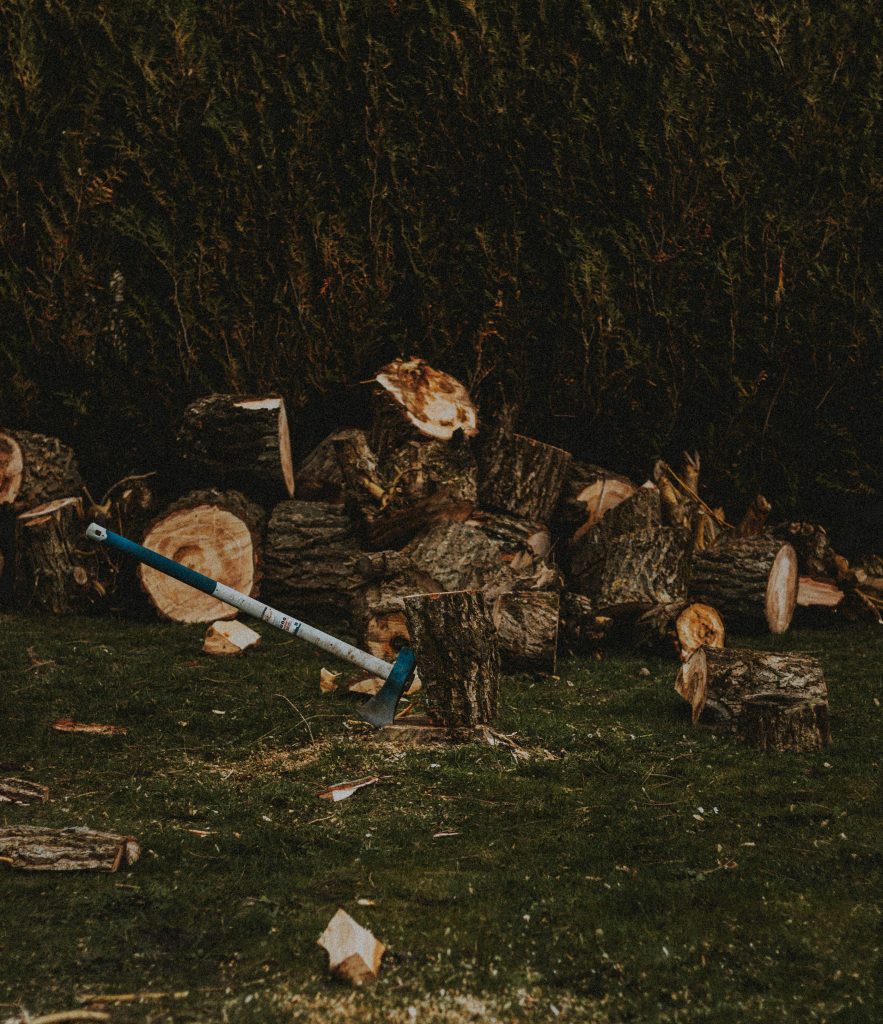 The Ultimate Guide to Truco Tree Removal: Essential Steps for a Safe and Beautiful Yard (2026) The Ultimate Guide to Truco Tree Removal: Essential Steps for a Safe and Beautiful Yard (2026)