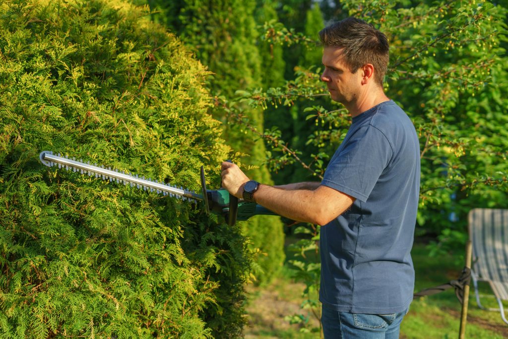 2026 Ultimate Guide to Finding the Best Tree Trimming Service Near Me