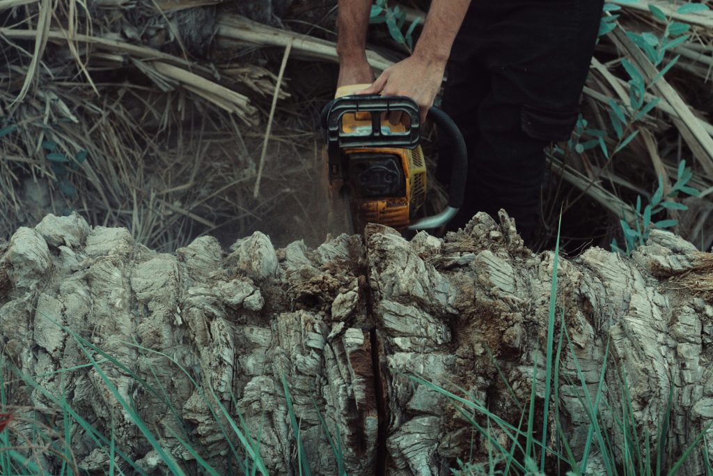 2026 Ultimate Guide to Tree Removal Cost: Expert Insights for Homeowners