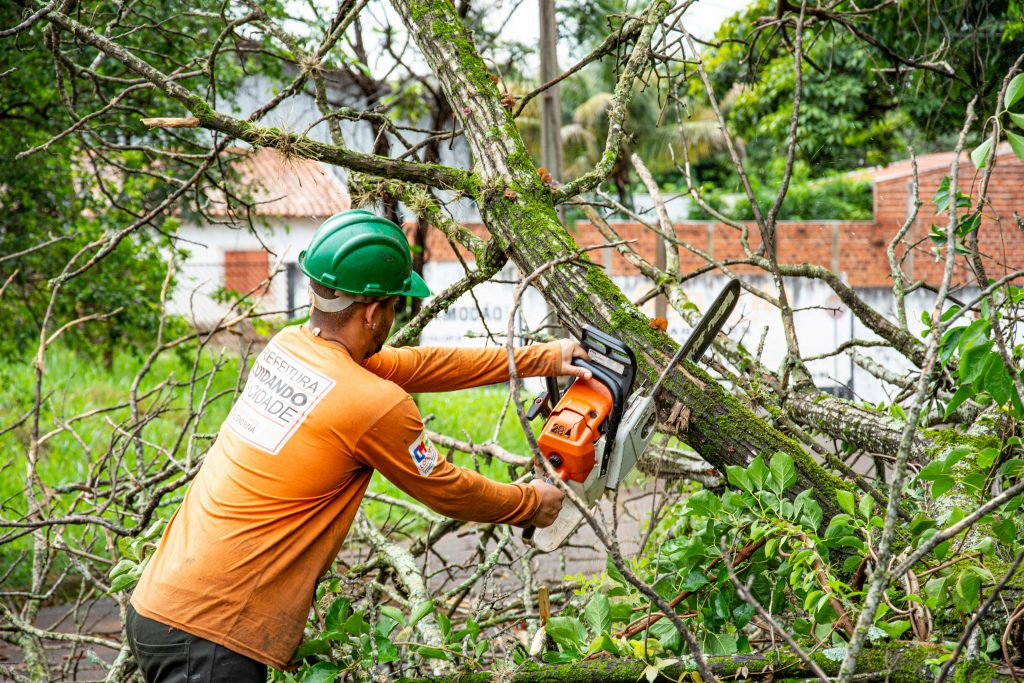The Ultimate Guide to Affordable Tree Service: Top Tips for 2026 The Ultimate Guide to Affordable Tree Service: Top Tips for 2026