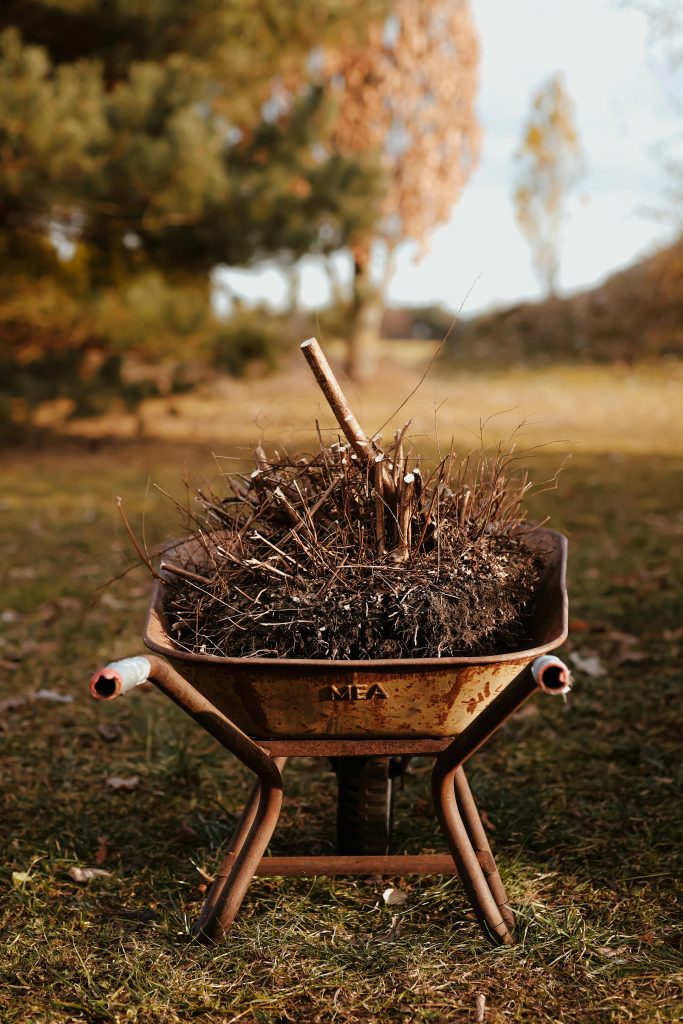 The Ultimate Guide to Bush Removal Near Me: Expert Solutions