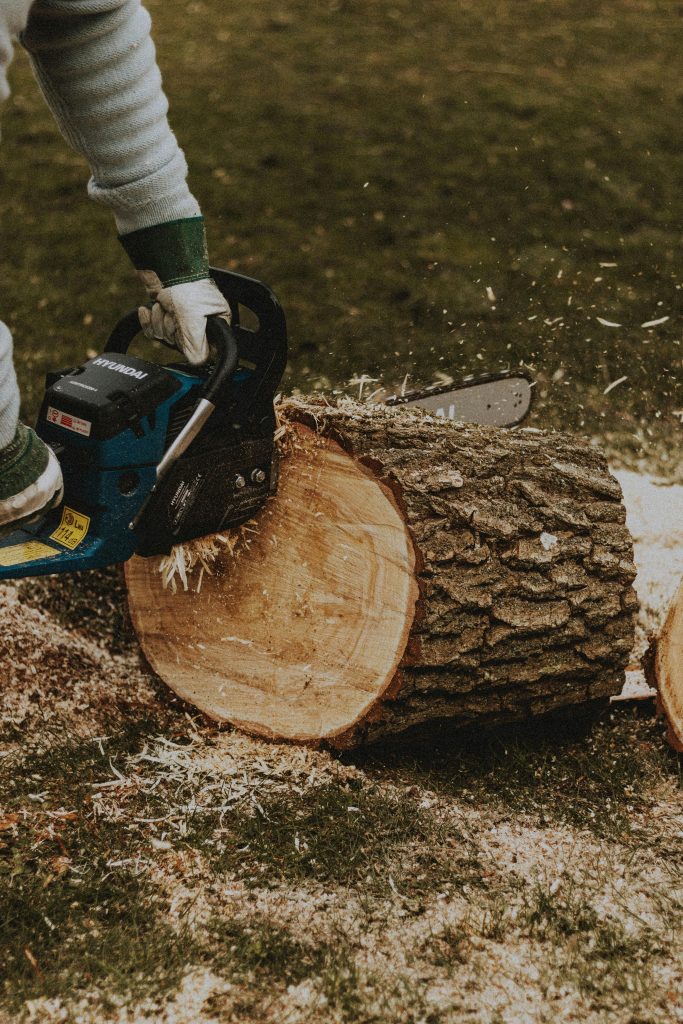 The Ultimate Guide to Cheap Tree Removal: Save Up to 50% in 2026