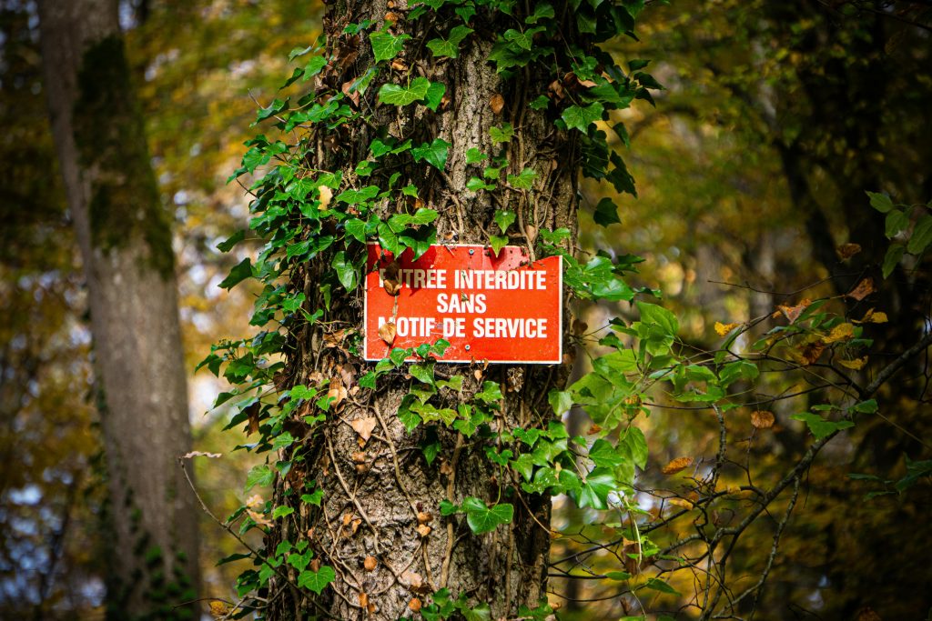 The Ultimate Guide to Local Tree Service: Expert Tips for a Safe and Beautiful Yard (2026)