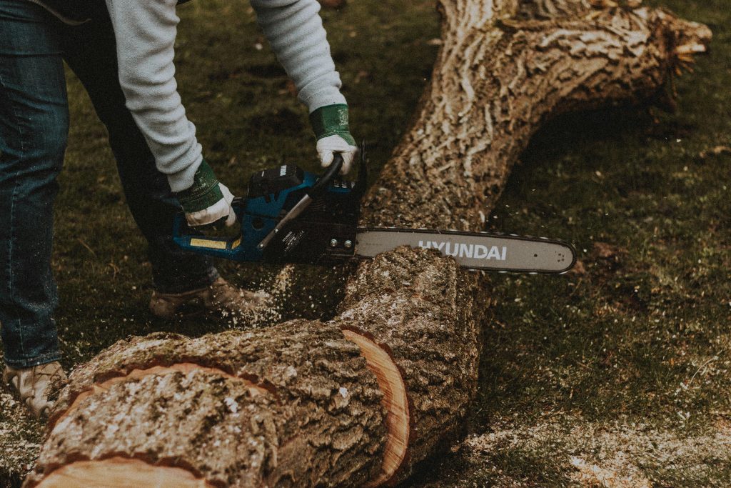 The Ultimate Guide to Tree Cutting: Essential Steps for a Safe and Beautiful Yard (2026)