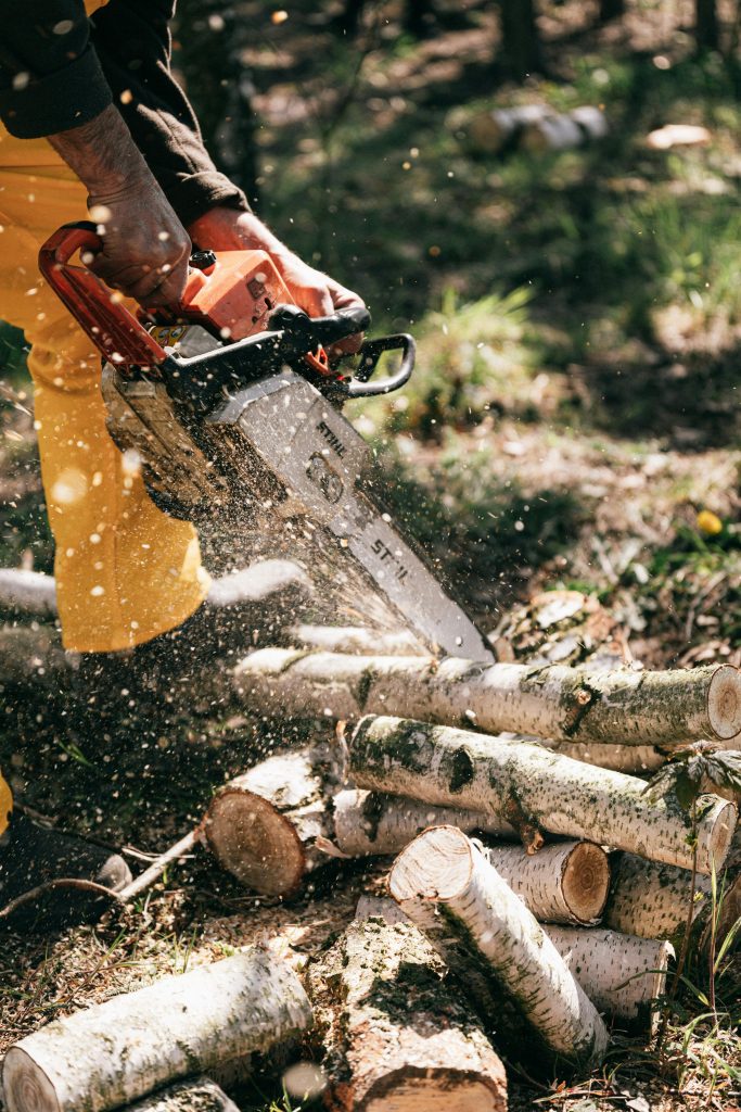 The Ultimate Guide to Tree Cutting: Essential Steps for a Safe and Beautiful Yard (2026)