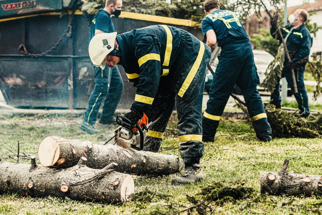 The Ultimate Guide to Tree Removal Service: Essential Steps to a Safe and Beautiful Yard (2026)