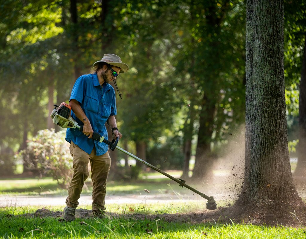 The Ultimate Guide to Tree Trimmers Near Me: Expert Tips and Services (2026)
