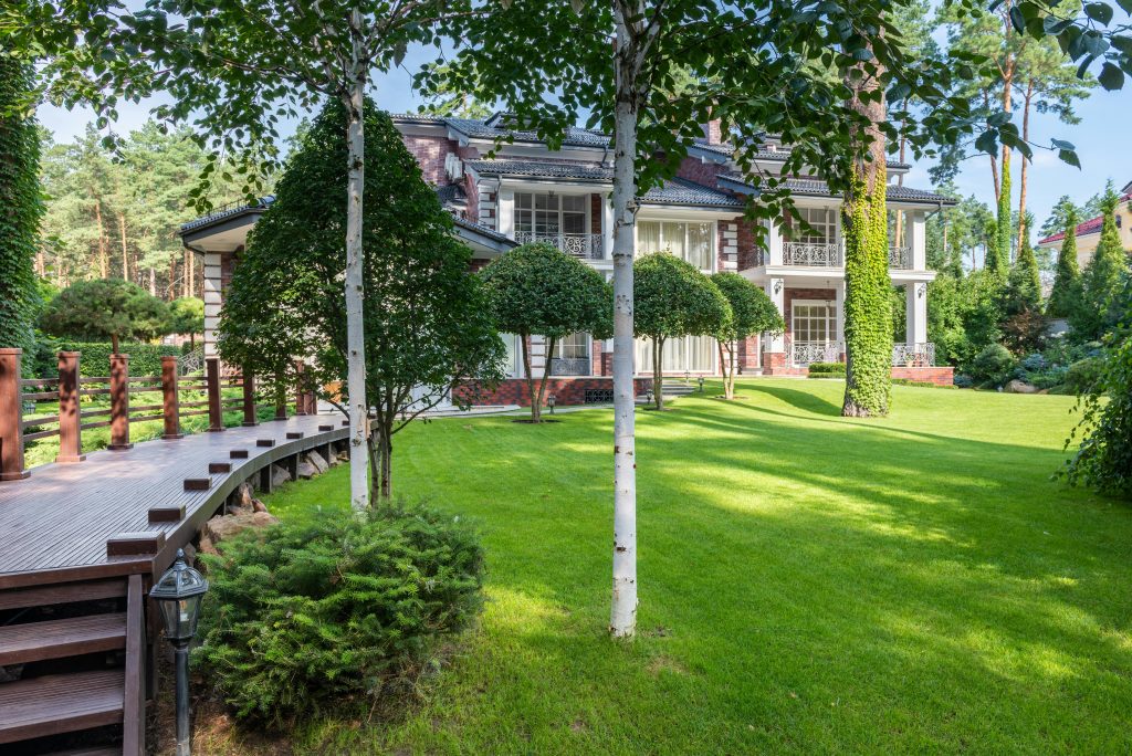 The Ultimate Guide to Tree Trimming: Expert Tips for a Safe and Beautiful Yard (2026)