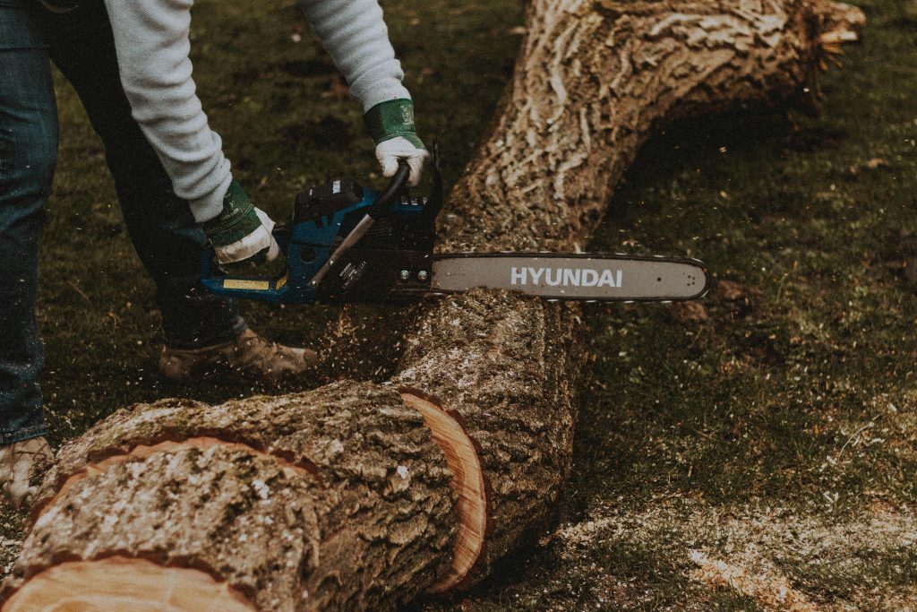 Ultimate Guide to Tree Cutting Service Near Me: Top Things to Know in 2026