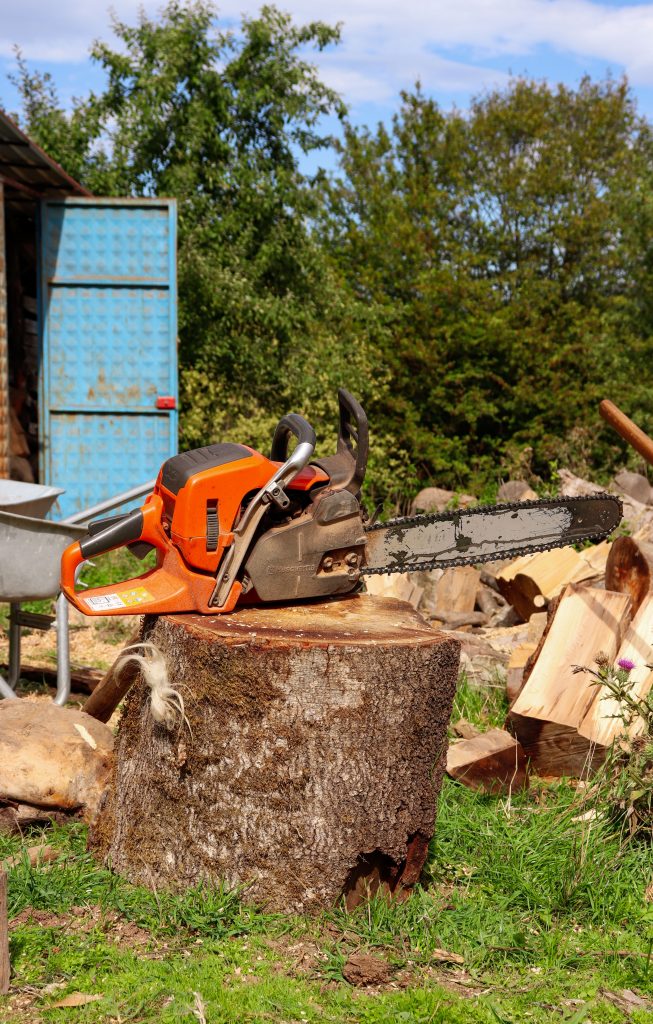 The Ultimate Guide to Tree Felling Near Me: Expert Tips and Solutions (2026)