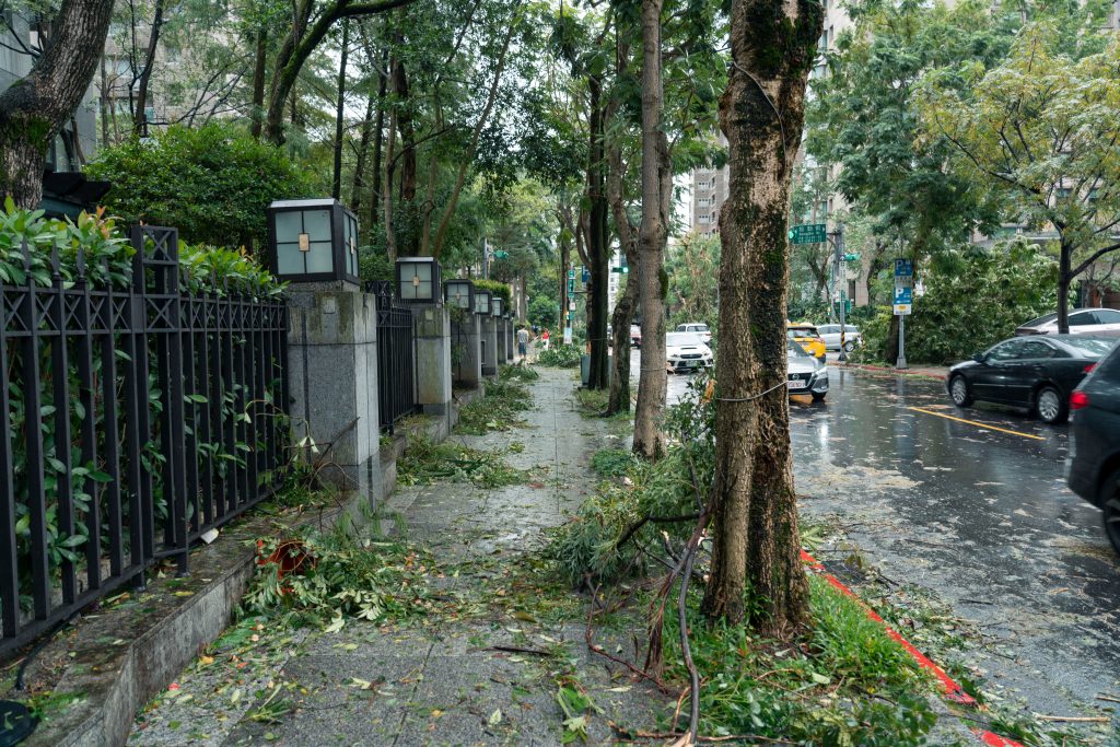 The Ultimate Guide to Emergency Tree Service Near Me:/7 Expert Solutions The Ultimate Guide to Emergency Tree Service Near Me:/7 Expert Solutions