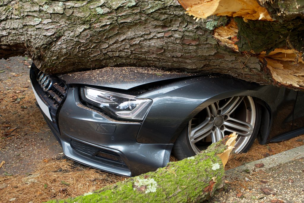 The Ultimate Guide to Emergency Tree Service:/7 Expert Solutions