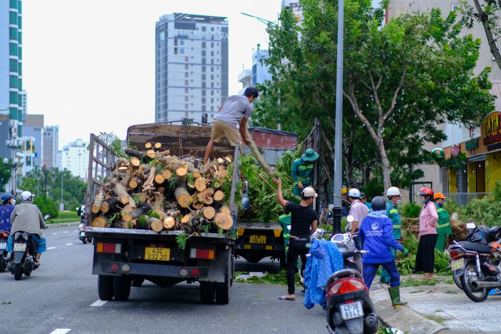 The Ultimate Guide to Finding the Best Tree Removal Service Near Me in 2026