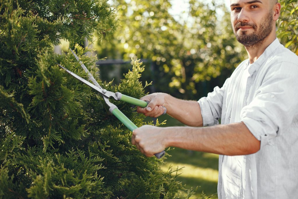 The Ultimate Guide to Hiring Local Tree Trimmers: Essential Tips for a Safe and Beautiful Yard The Ultimate Guide to Hiring Local Tree Trimmers: Essential Tips for a Safe and Beautiful Yard