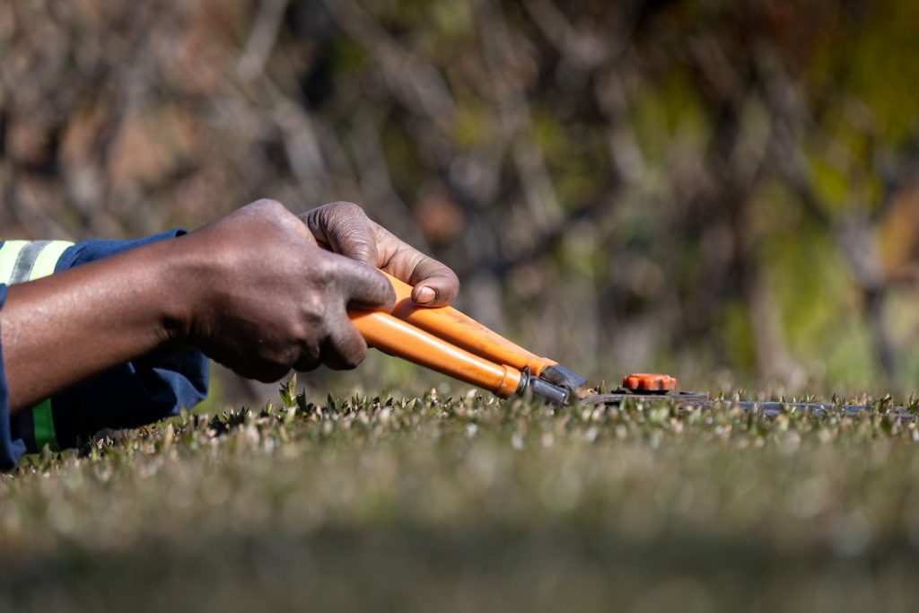 The Ultimate Guide to Local Tree Trimmers: Expert Solutions for a Safe and Beautiful Yard