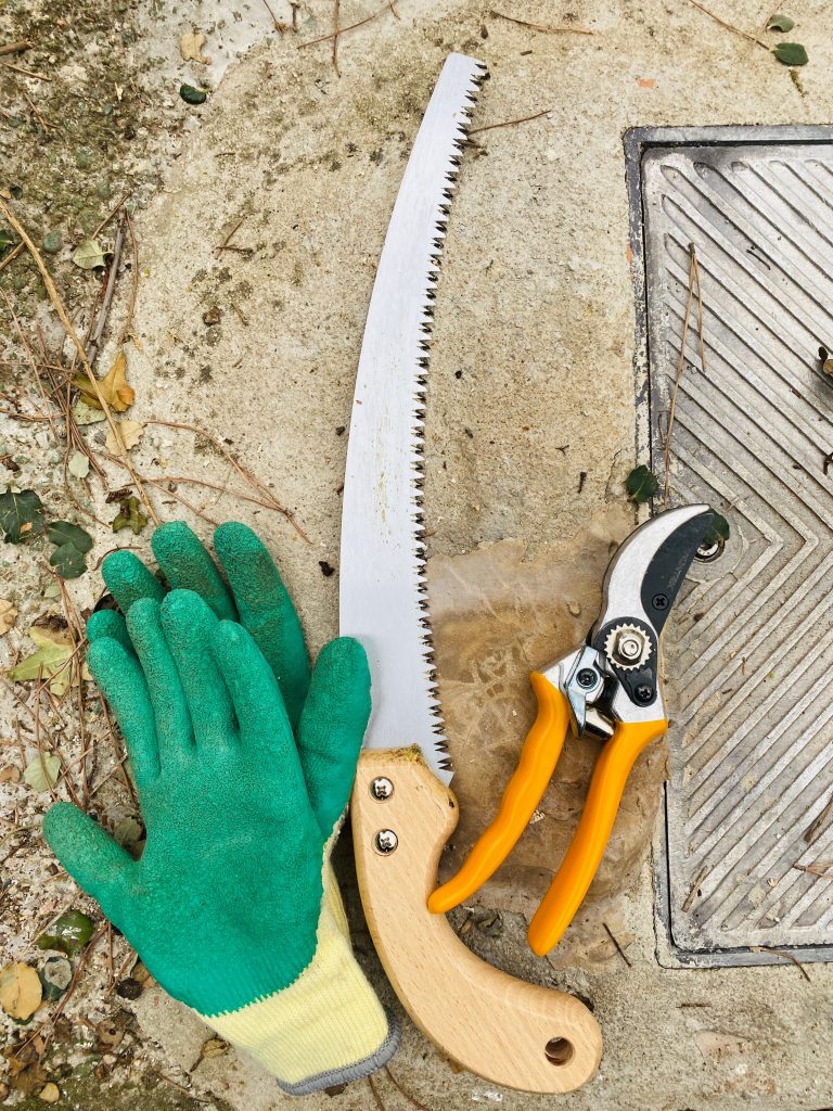 The Ultimate Guide to Tree Branch Removal Near Me: Essential Tips for a Safe and Beautiful Yard The Ultimate Guide to Tree Branch Removal Near Me: Essential Tips for a Safe and Beautiful Yard