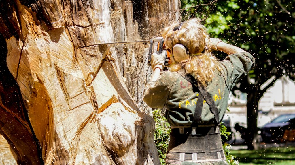 The Ultimate Guide to Tree Branch Removal Near Me: Essential Tips for a Safe and Beautiful Yard The Ultimate Guide to Tree Branch Removal Near Me: Essential Tips for a Safe and Beautiful Yard