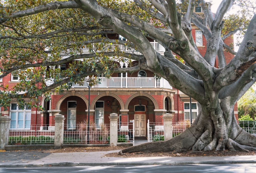 The Ultimate Guide to Tree Companies: Top Essential Services for a Safe and Beautiful Property