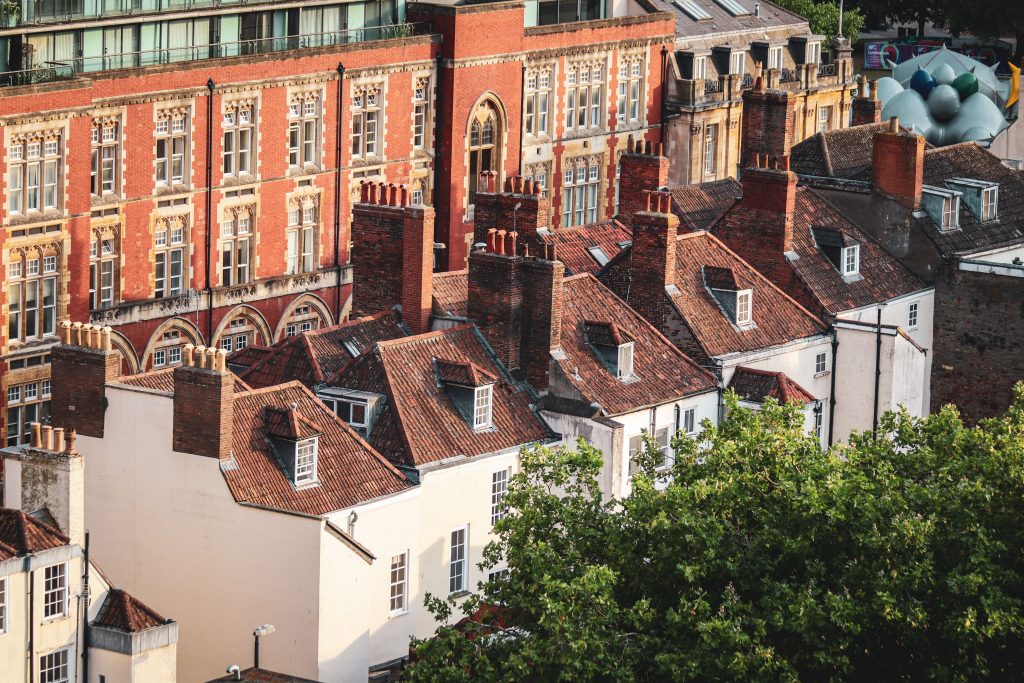 The Ultimate Guide to Tree Companies: Top Essential Services for a Safe and Beautiful Property